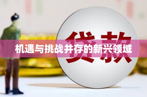 芎林机遇与挑战并存的新兴领域