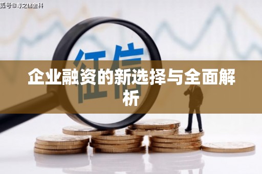 芎林企业融资的新选择与全面解析