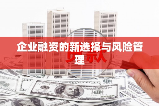 芎林企业融资的新选择与风险管理