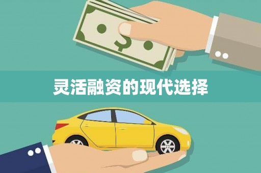 芎林灵活融资的现代选择