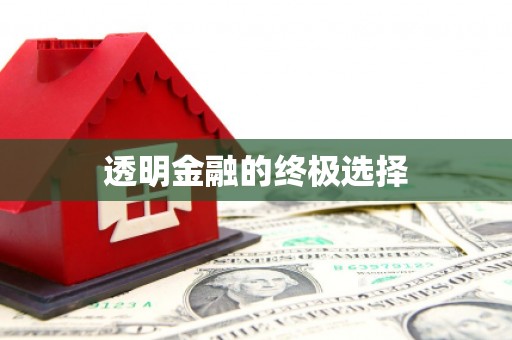 芎林透明金融的终极选择
