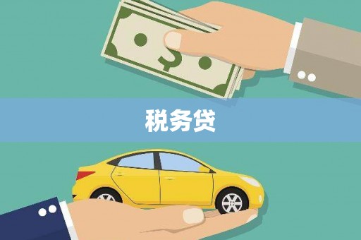 芎林税务贷