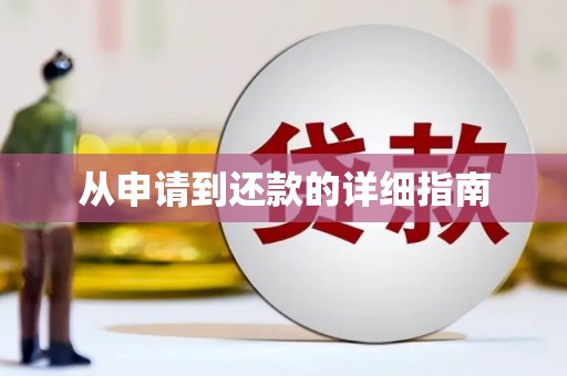 芎林从申请到还款的详细指南