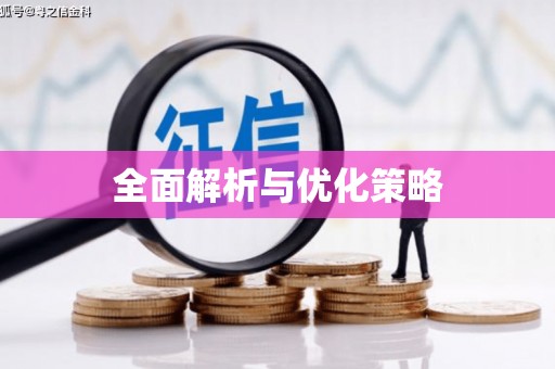 芎林全面解析与优化策略