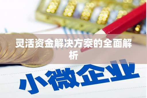 芎林灵活资金解决方案的全面解析