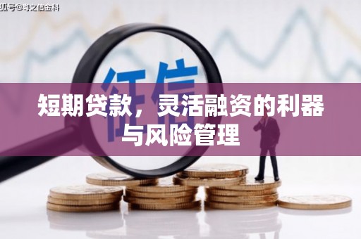 芎林短期贷款，灵活融资的利器与风险管理