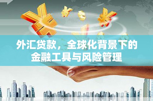 芎林外汇贷款，全球化背景下的金融工具与风险管理