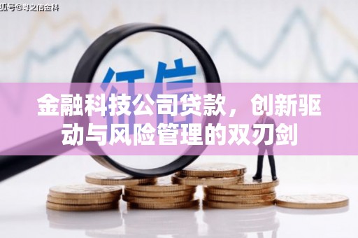 芎林金融科技公司贷款，创新驱动与风险管理的双刃剑