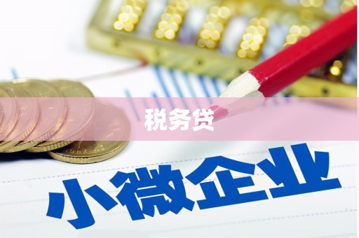 芎林税务贷
